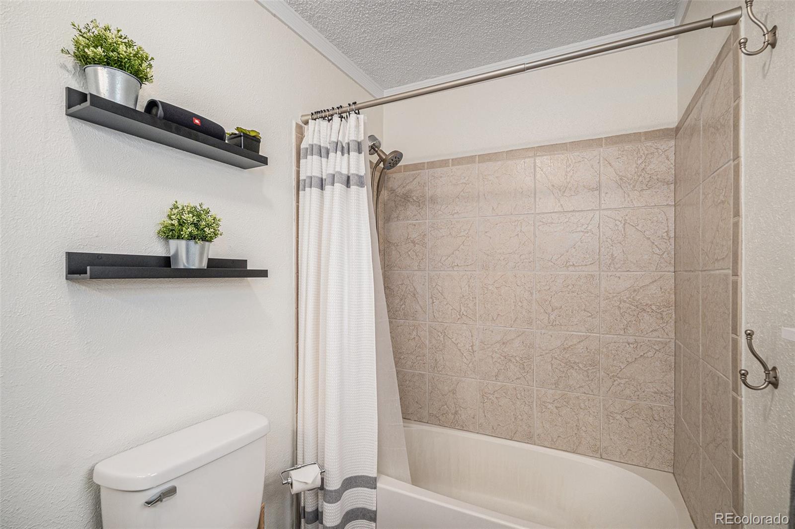 MLS Image #21 for 8691  bluebunch court,parker, Colorado