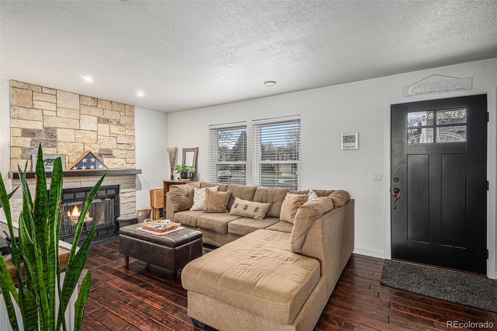 MLS Image #3 for 8691  bluebunch court,parker, Colorado