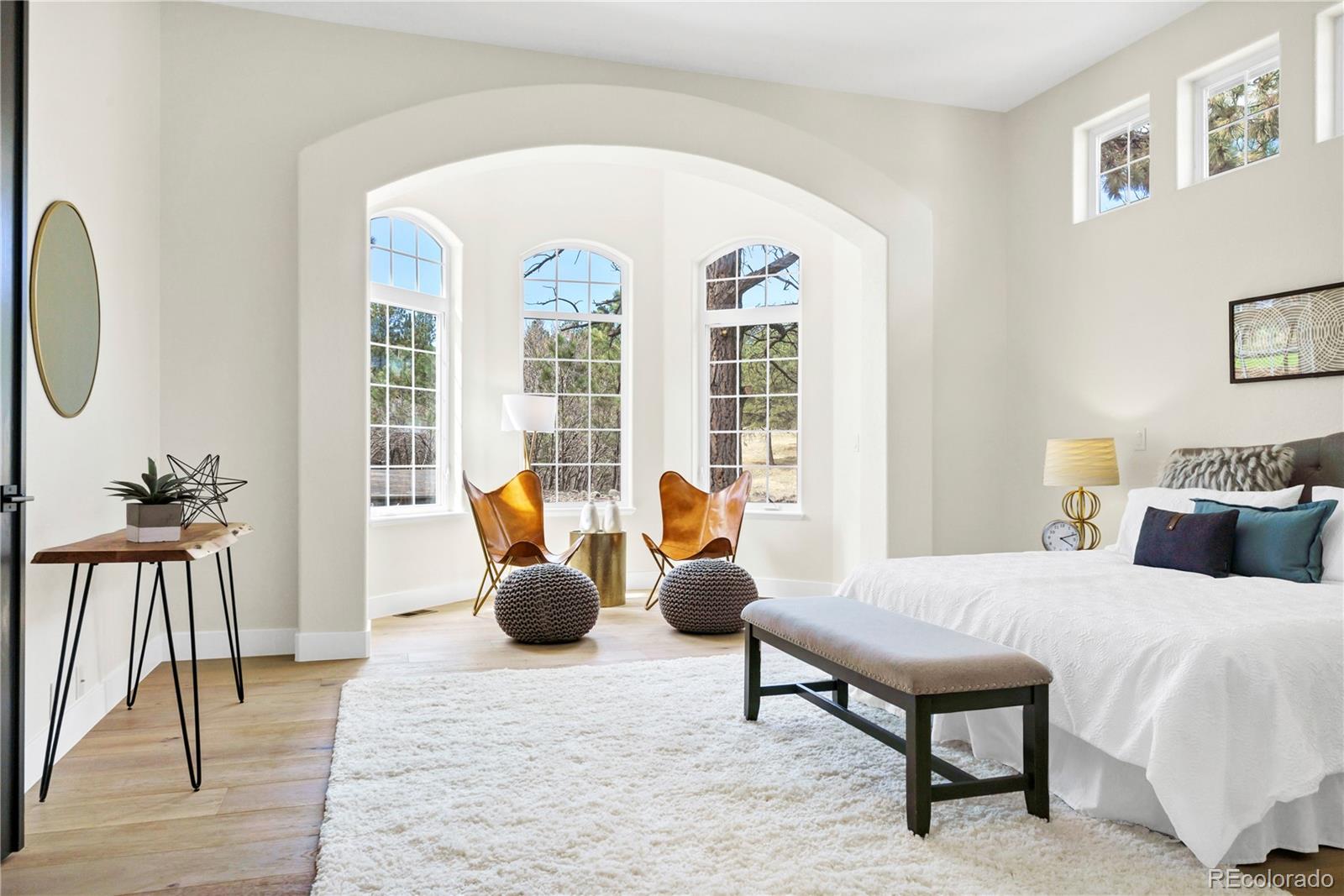 MLS Image #7 for 5259  serene view way,parker, Colorado