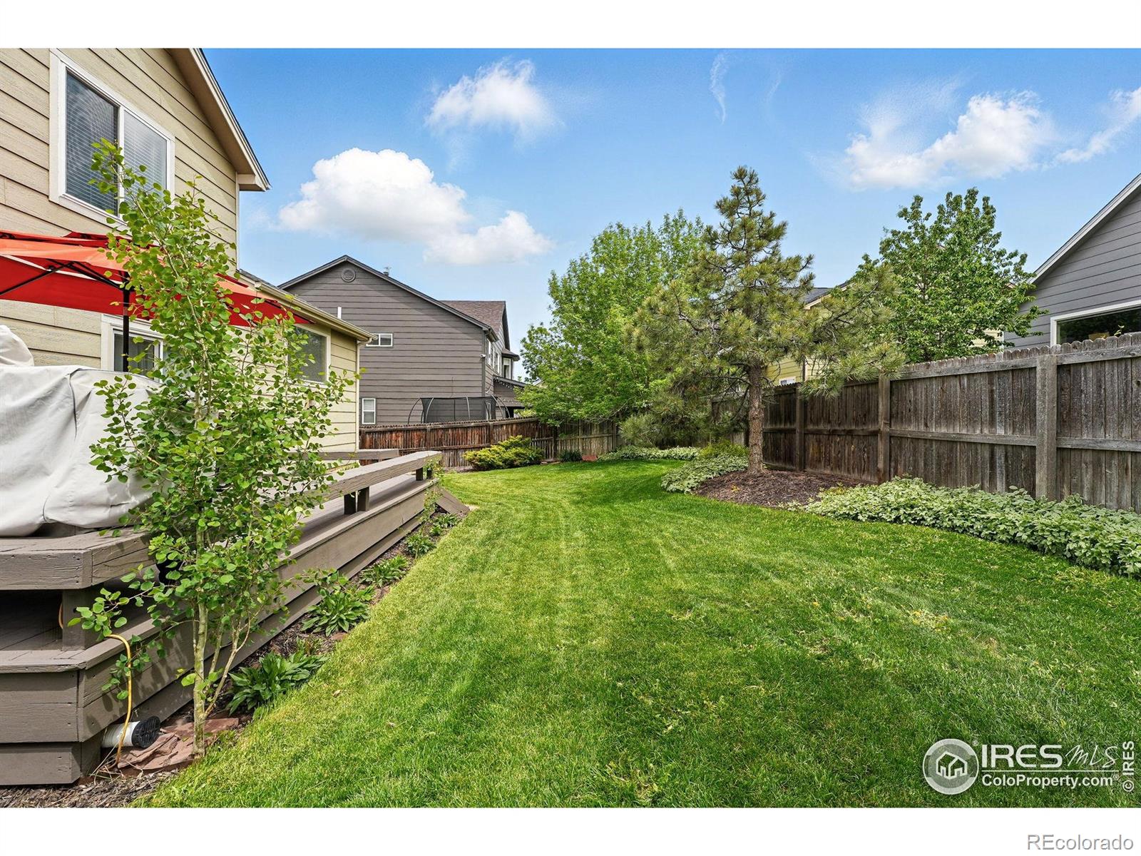 MLS Image #24 for 4774  coker avenue,castle rock, Colorado