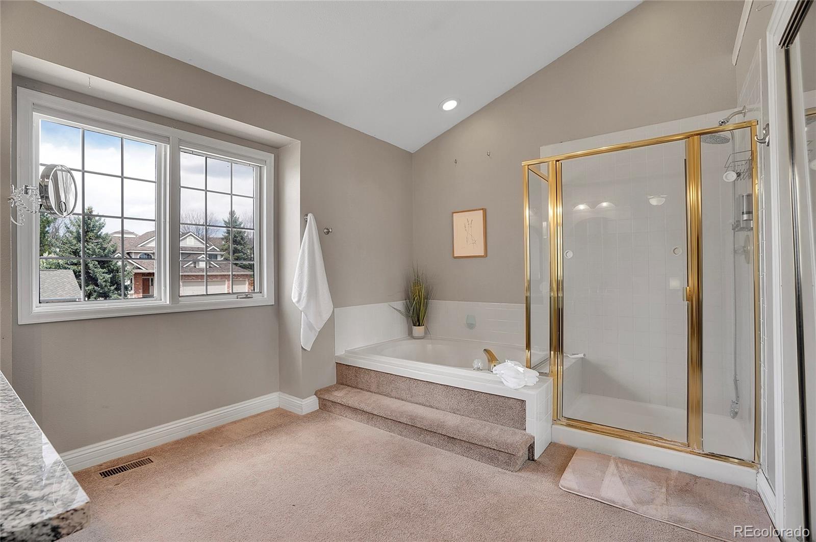 MLS Image #21 for 5668 s rifle court,centennial, Colorado