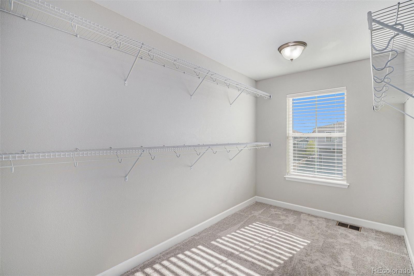 MLS Image #12 for 1011  white leaf circle,castle rock, Colorado