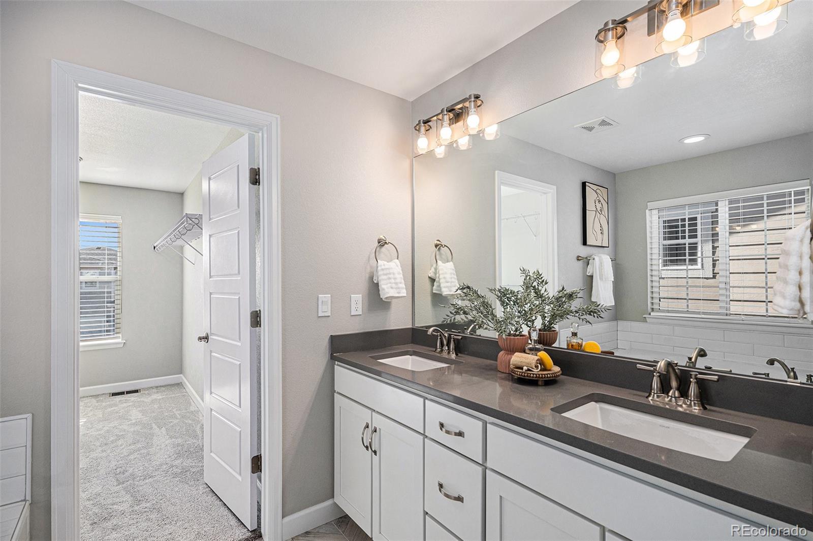 MLS Image #13 for 1011  white leaf circle,castle rock, Colorado
