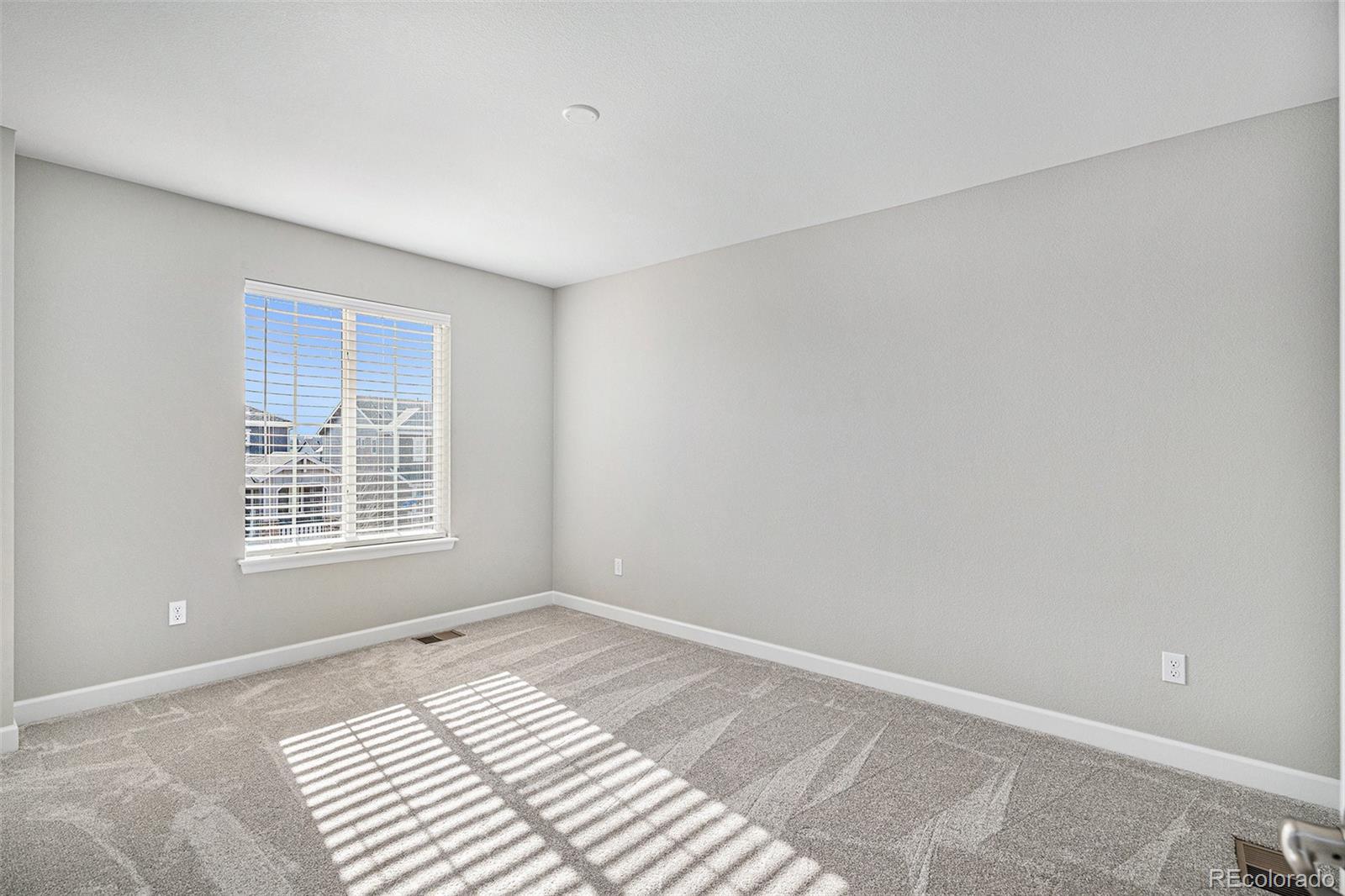 MLS Image #16 for 1011  white leaf circle,castle rock, Colorado