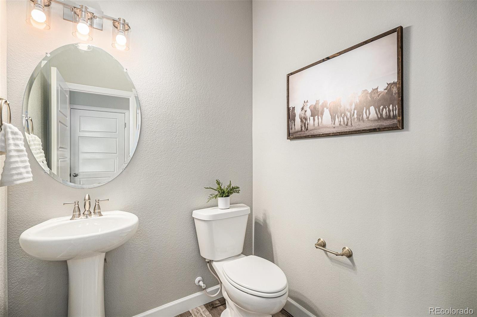 MLS Image #8 for 1011  white leaf circle,castle rock, Colorado