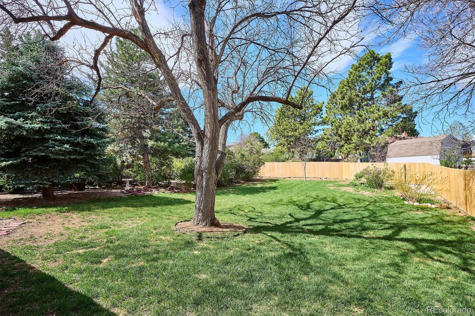 MLS Image #31 for 13183  spica drive,lone tree, Colorado
