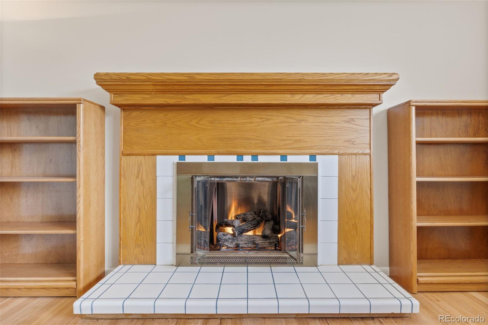 MLS Image #10 for 2591  beech court,golden, Colorado