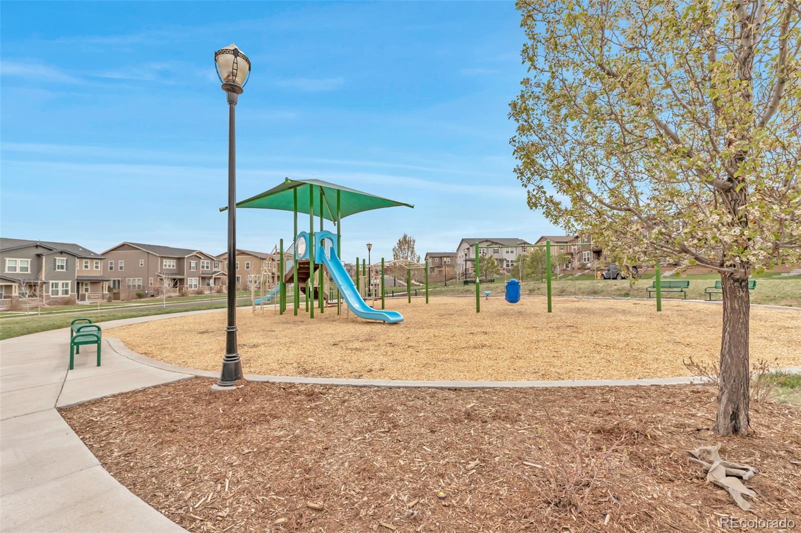 MLS Image #41 for 3778  happyheart way,castle rock, Colorado