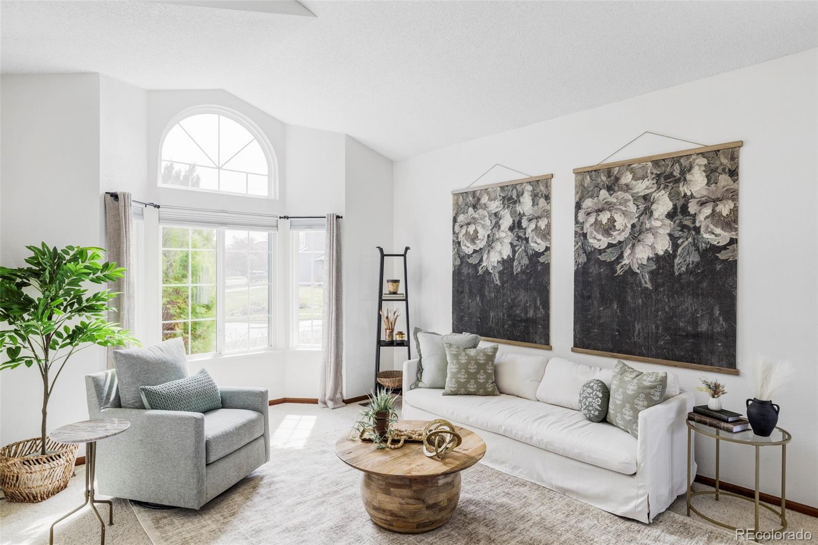MLS Image #0 for 9257  shadowglen court,highlands ranch, Colorado
