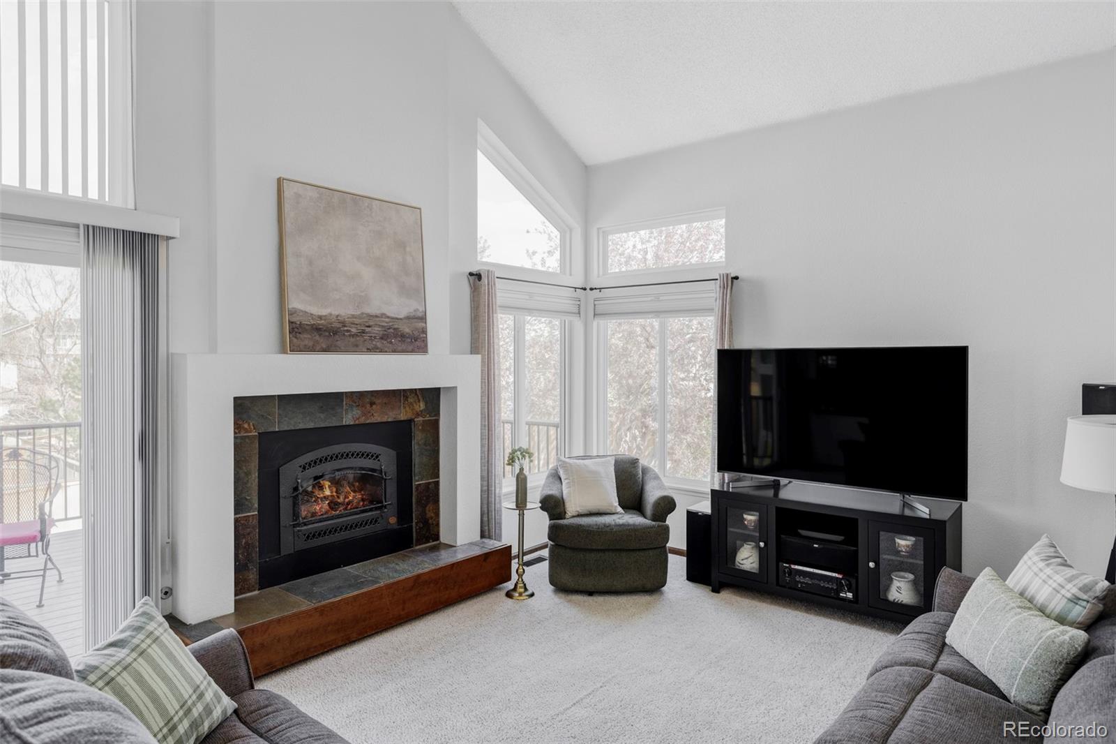MLS Image #18 for 9257  shadowglen court,highlands ranch, Colorado