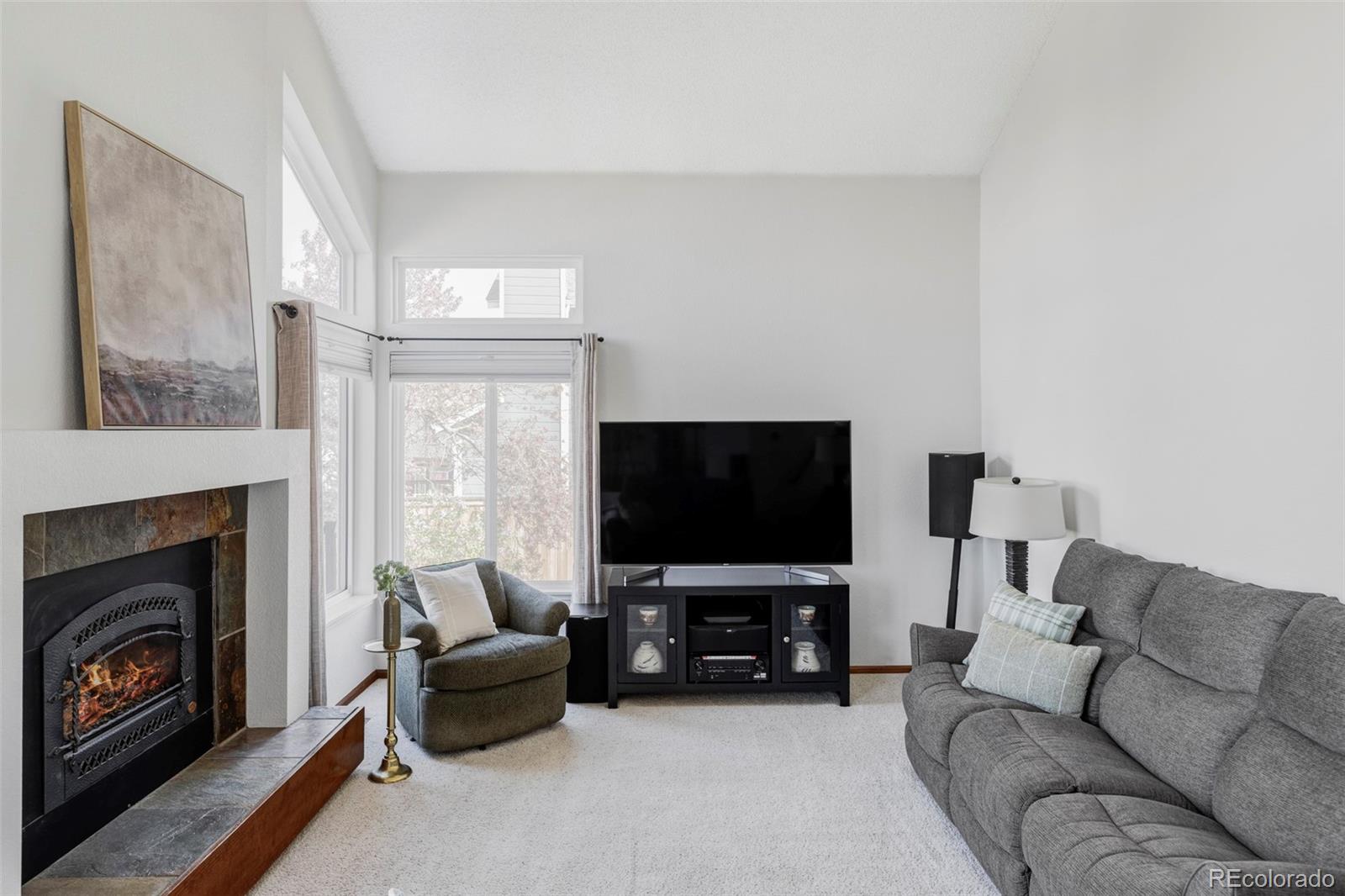 MLS Image #19 for 9257  shadowglen court,highlands ranch, Colorado