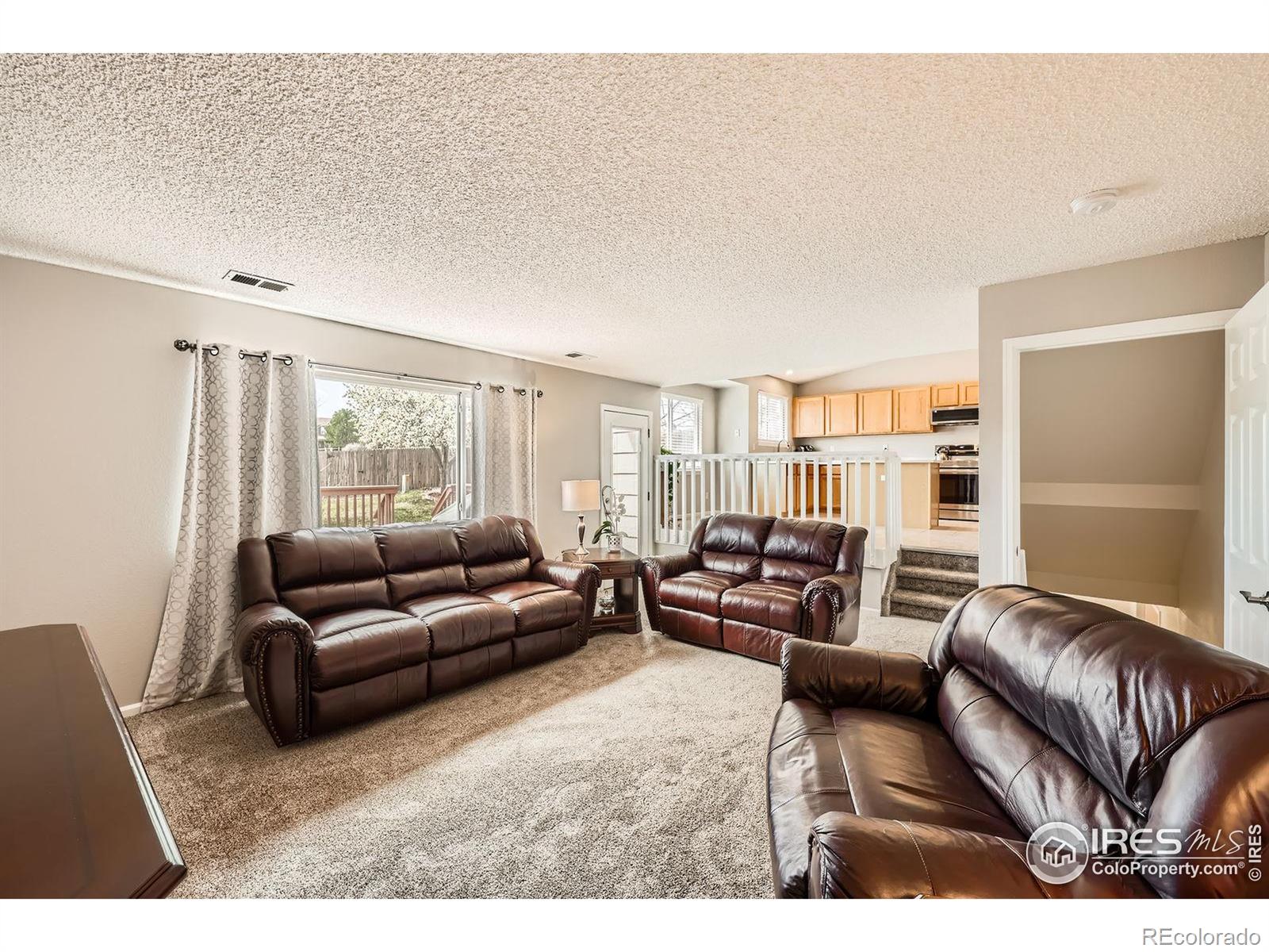 MLS Image #11 for 21656  hill gail way,parker, Colorado