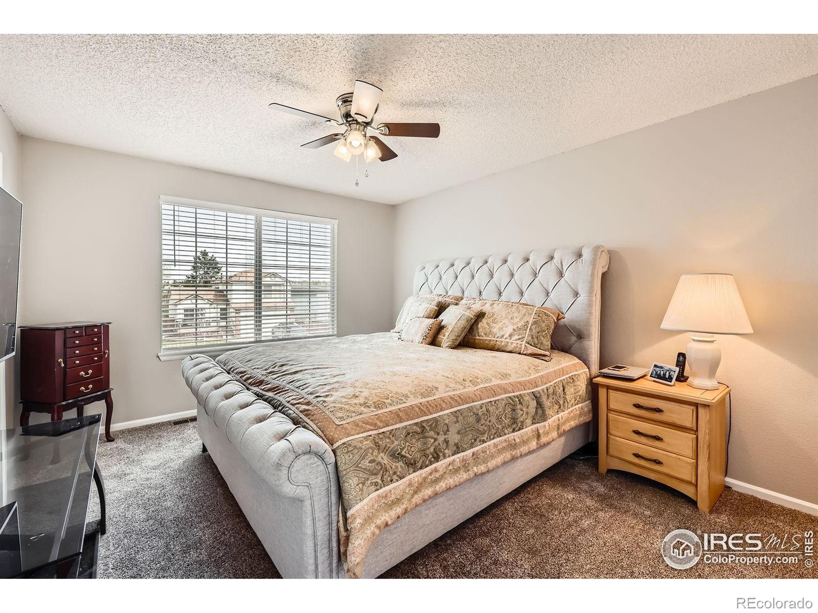 MLS Image #14 for 21656  hill gail way,parker, Colorado