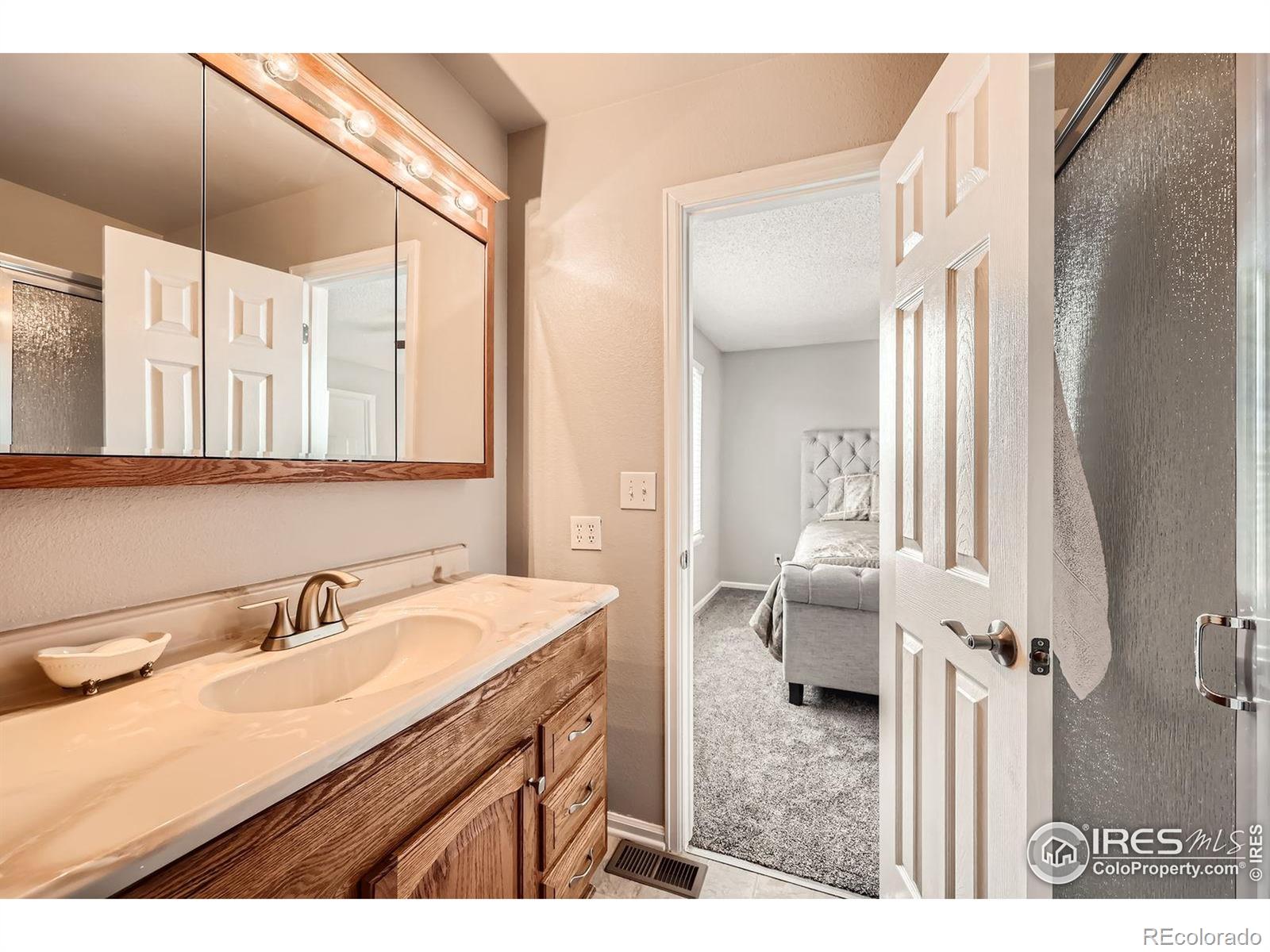 MLS Image #18 for 21656  hill gail way,parker, Colorado