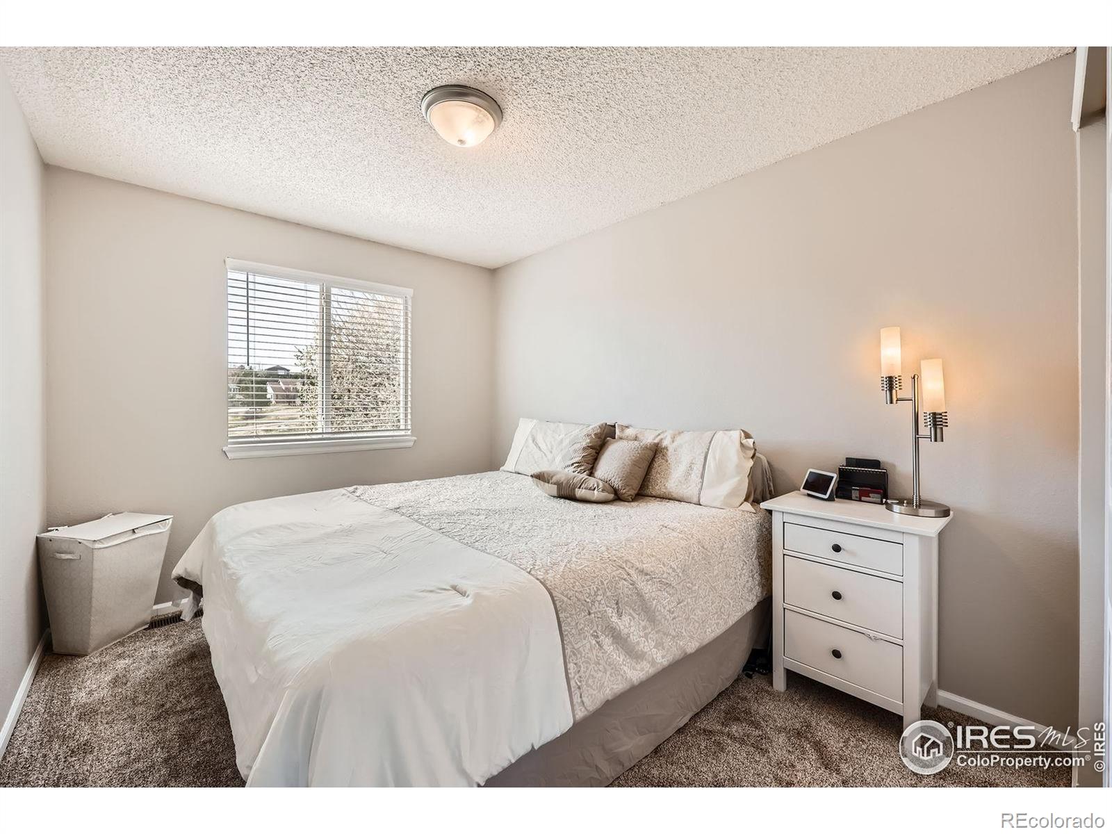 MLS Image #19 for 21656  hill gail way,parker, Colorado