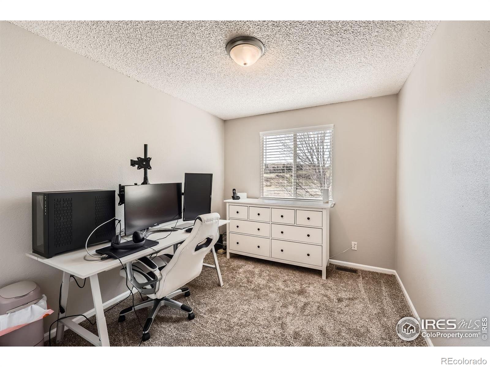 MLS Image #21 for 21656  hill gail way,parker, Colorado