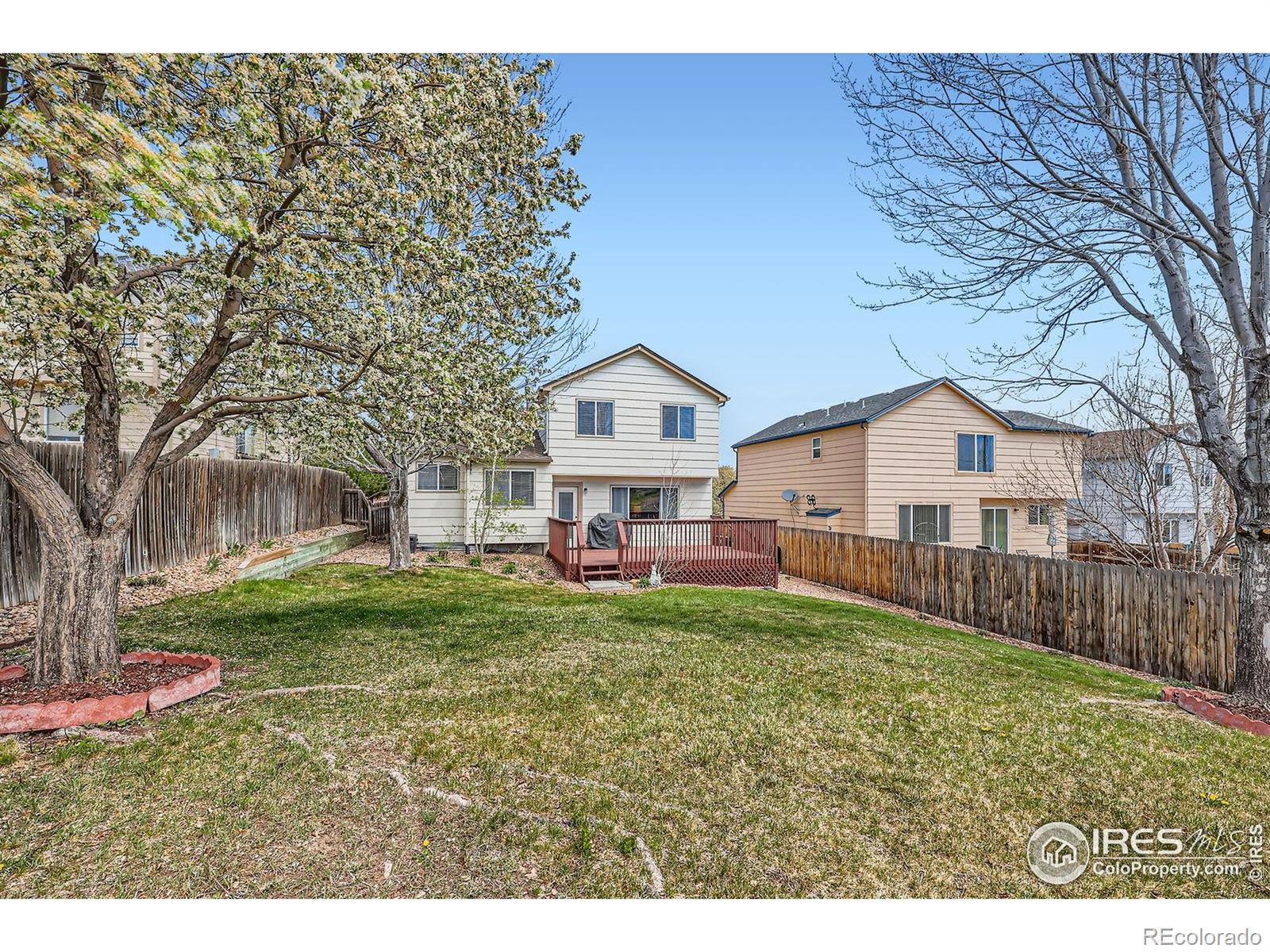 MLS Image #28 for 21656  hill gail way,parker, Colorado