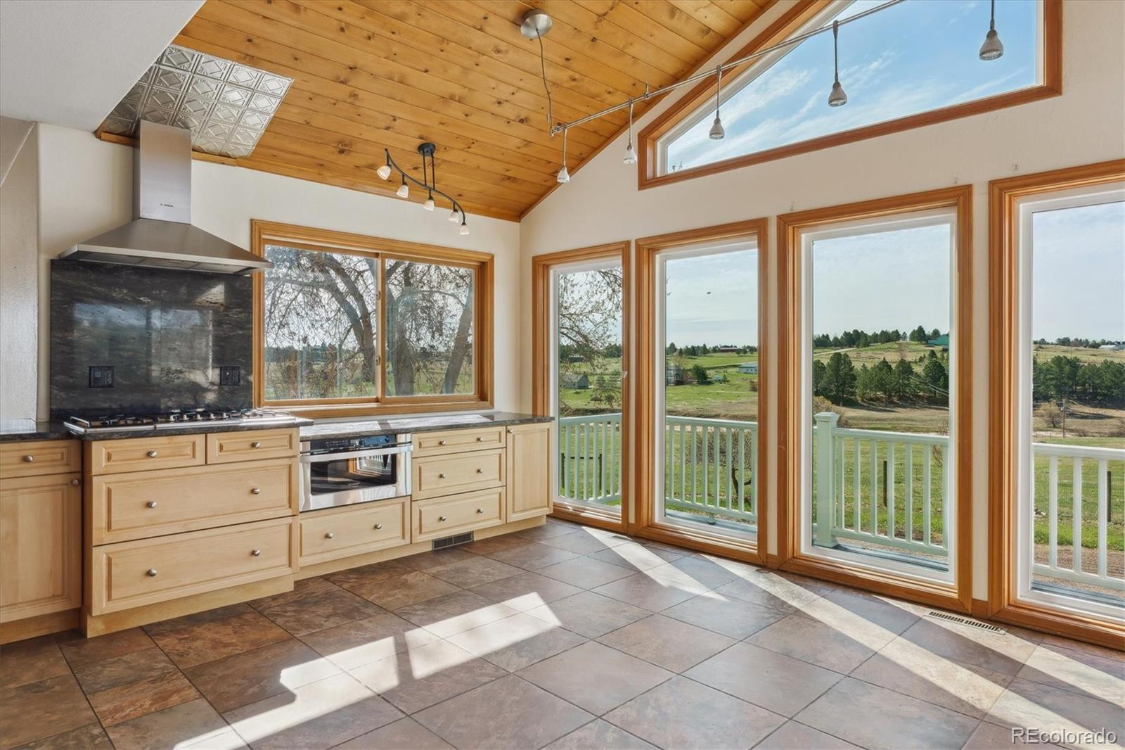 MLS Image #19 for 371  buckskin court,parker, Colorado