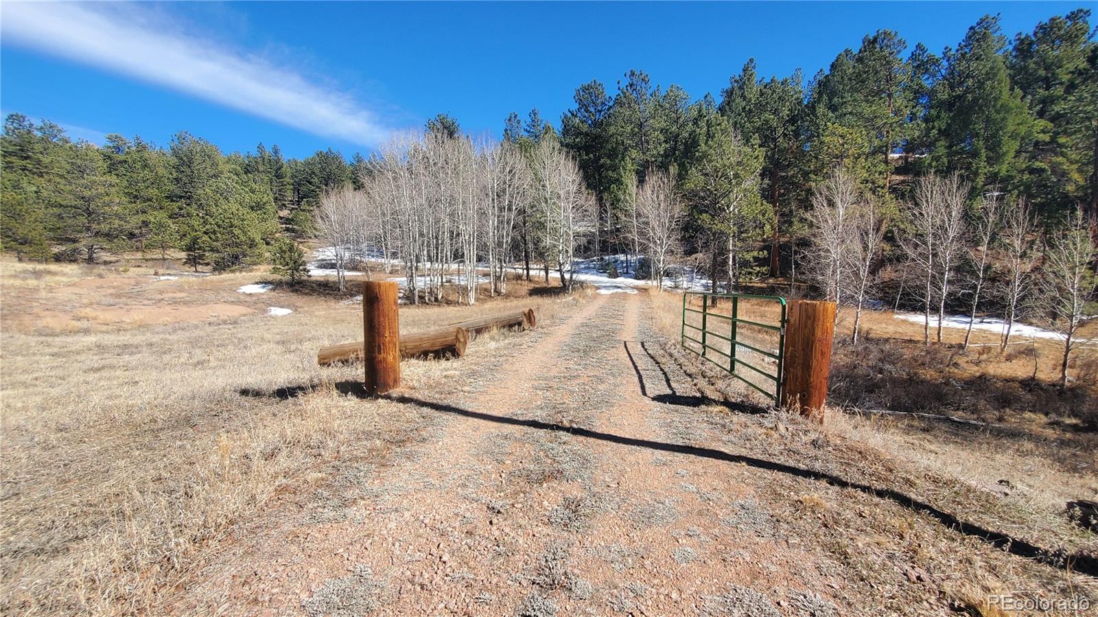 MLS Image #1 for 958  meadows lane,florissant, Colorado