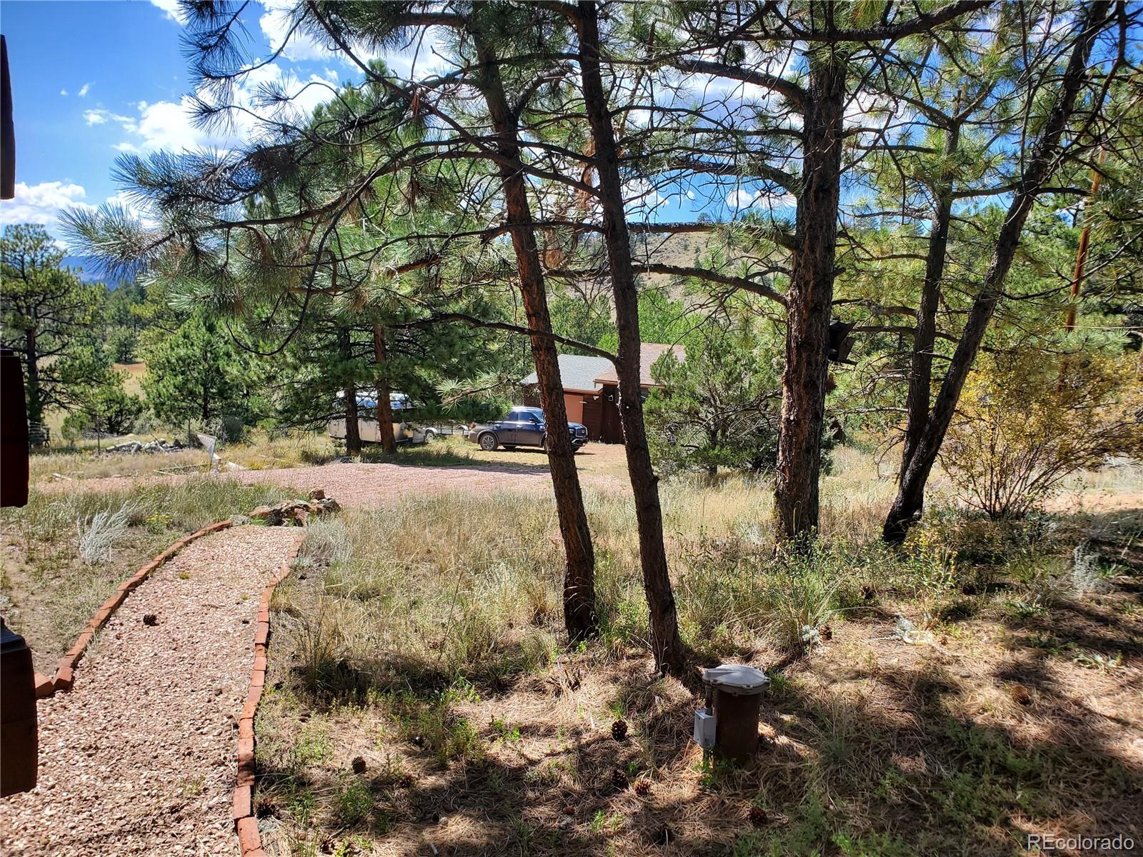MLS Image #5 for 958  meadows lane,florissant, Colorado
