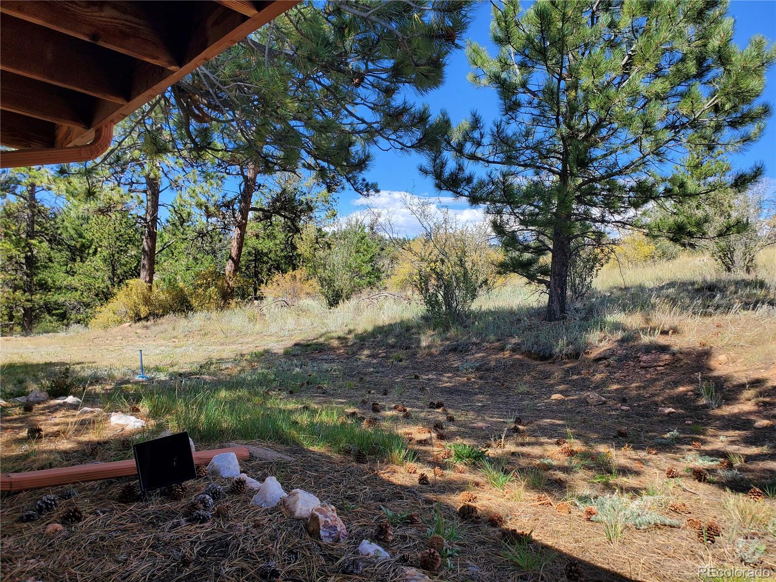 MLS Image #6 for 958  meadows lane,florissant, Colorado