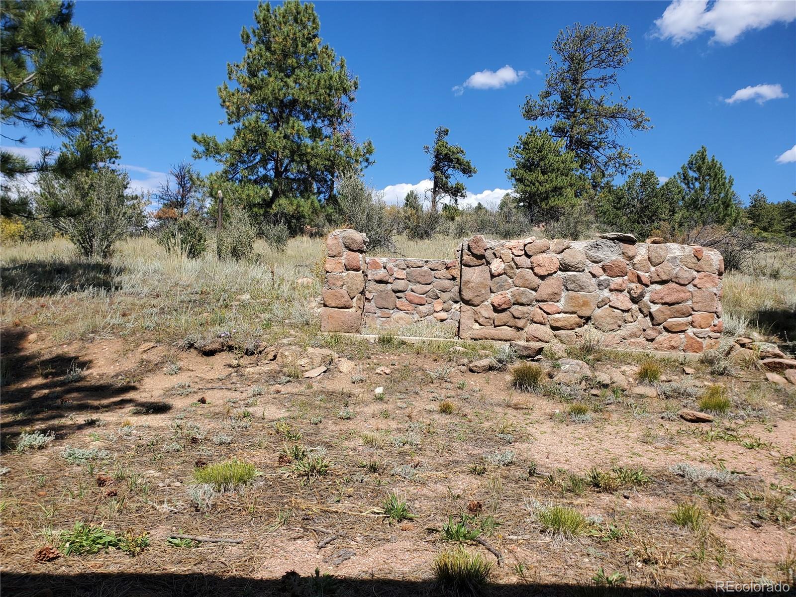 MLS Image #7 for 958  meadows lane,florissant, Colorado