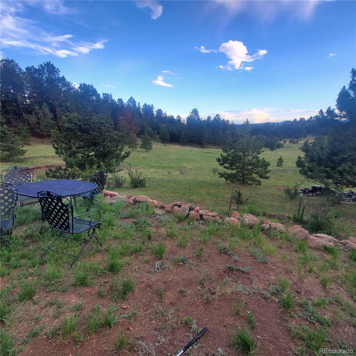 MLS Image #9 for 958  meadows lane,florissant, Colorado