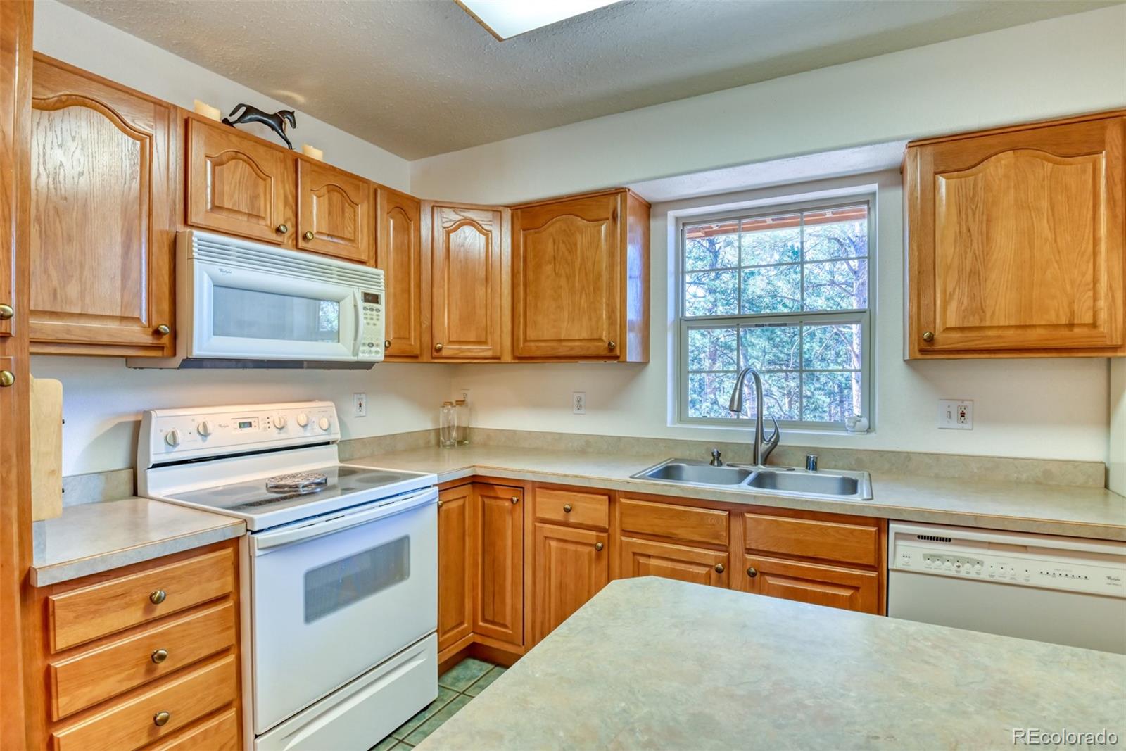 MLS Image #10 for 223  midnight lane,florissant, Colorado
