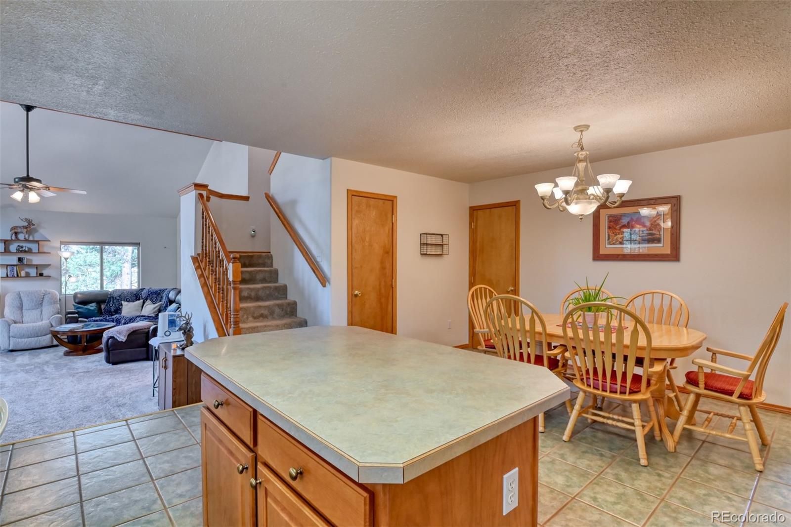 MLS Image #12 for 223  midnight lane,florissant, Colorado
