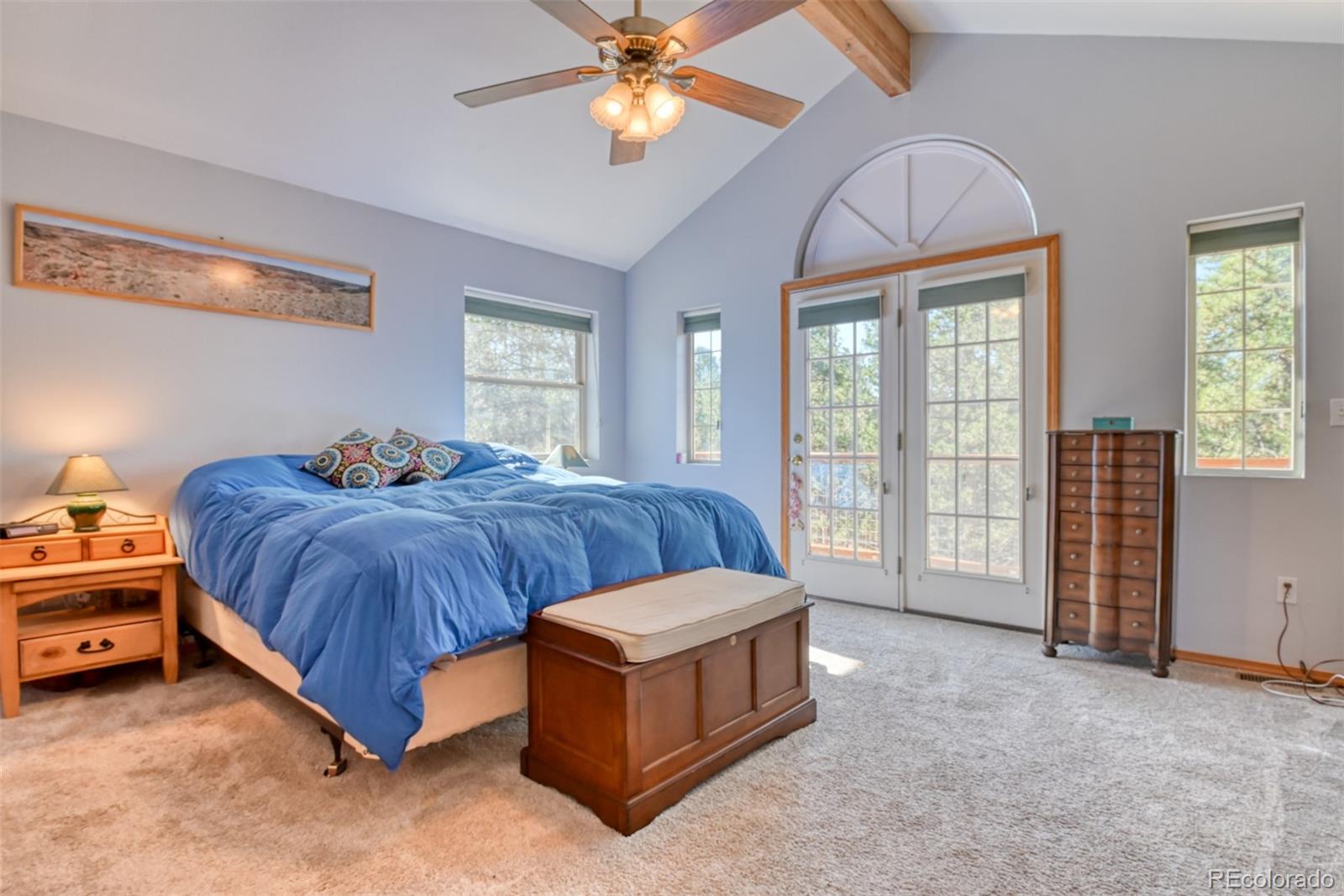 MLS Image #17 for 223  midnight lane,florissant, Colorado