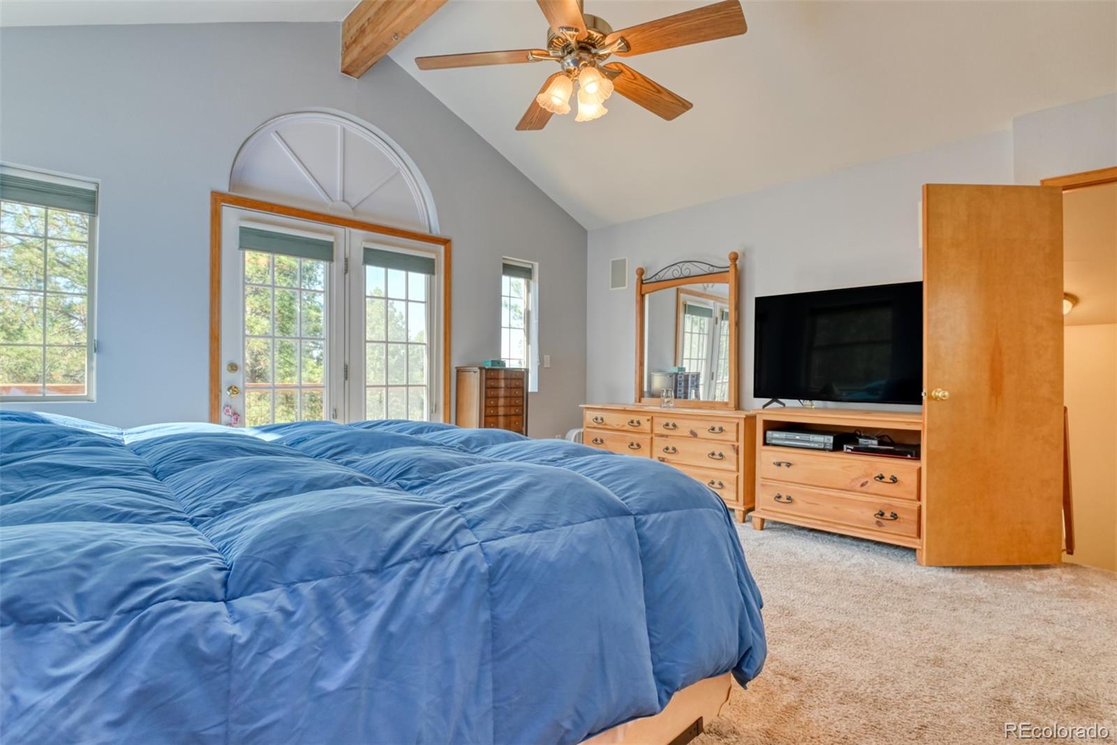 MLS Image #18 for 223  midnight lane,florissant, Colorado