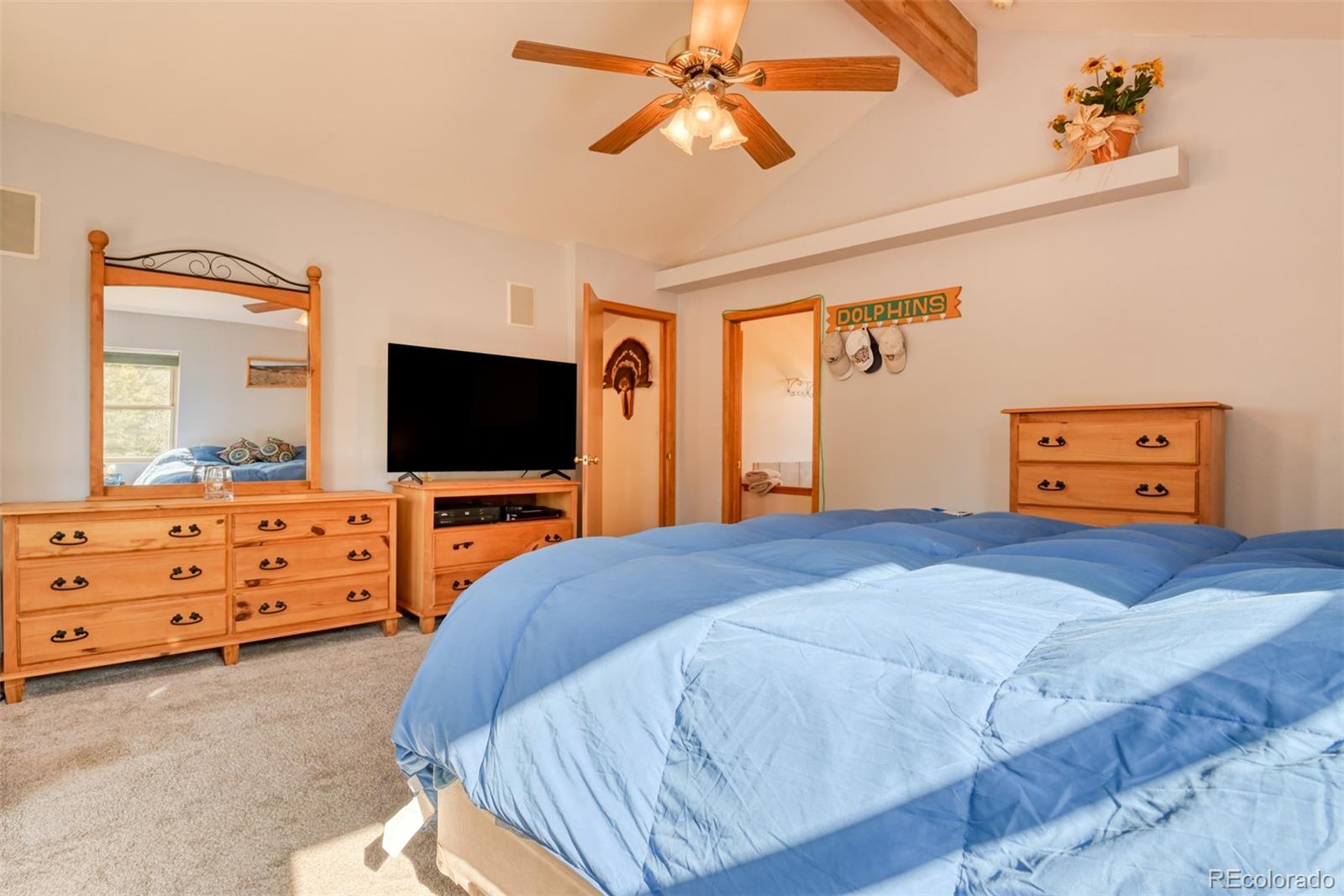 MLS Image #19 for 223  midnight lane,florissant, Colorado