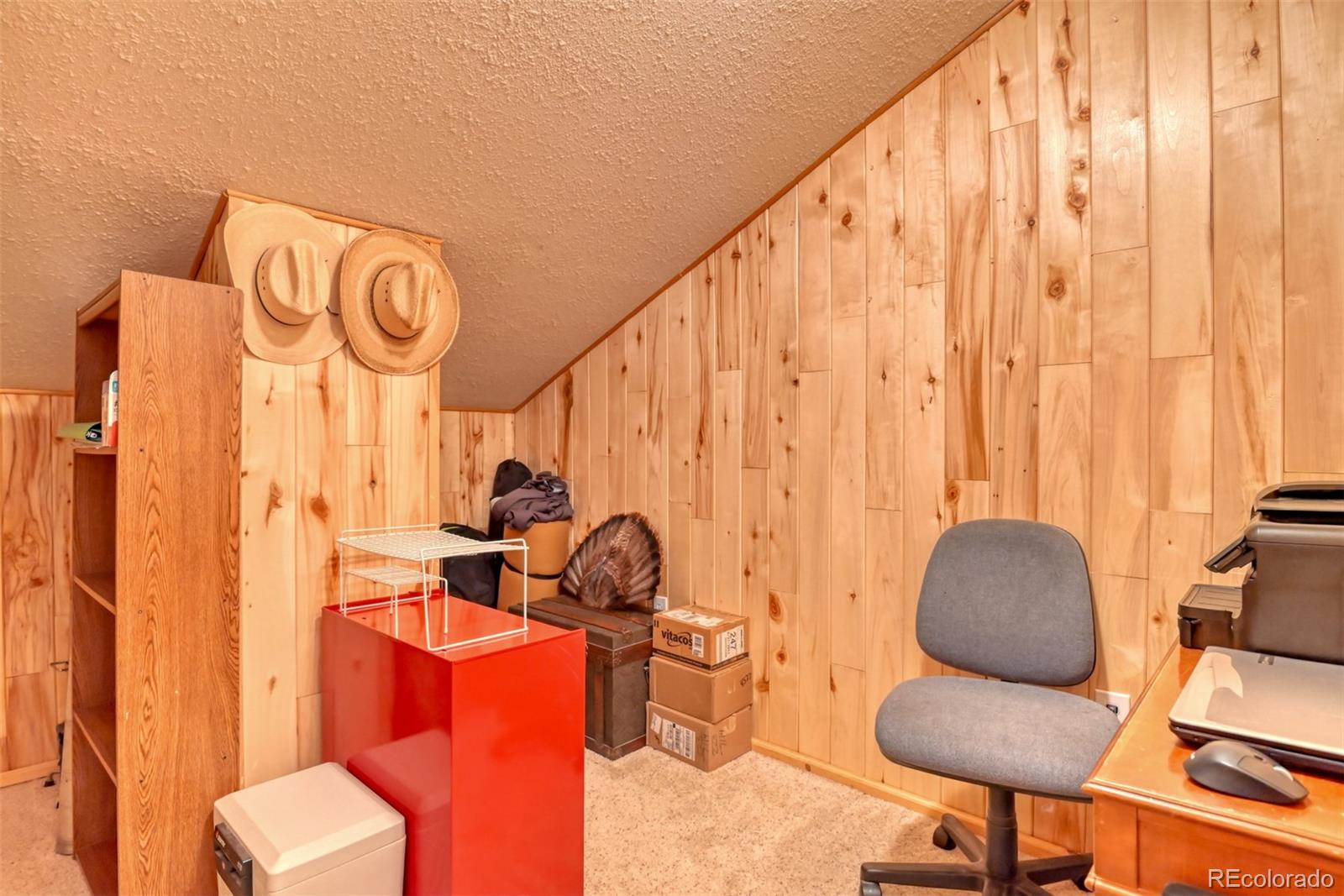 MLS Image #21 for 223  midnight lane,florissant, Colorado
