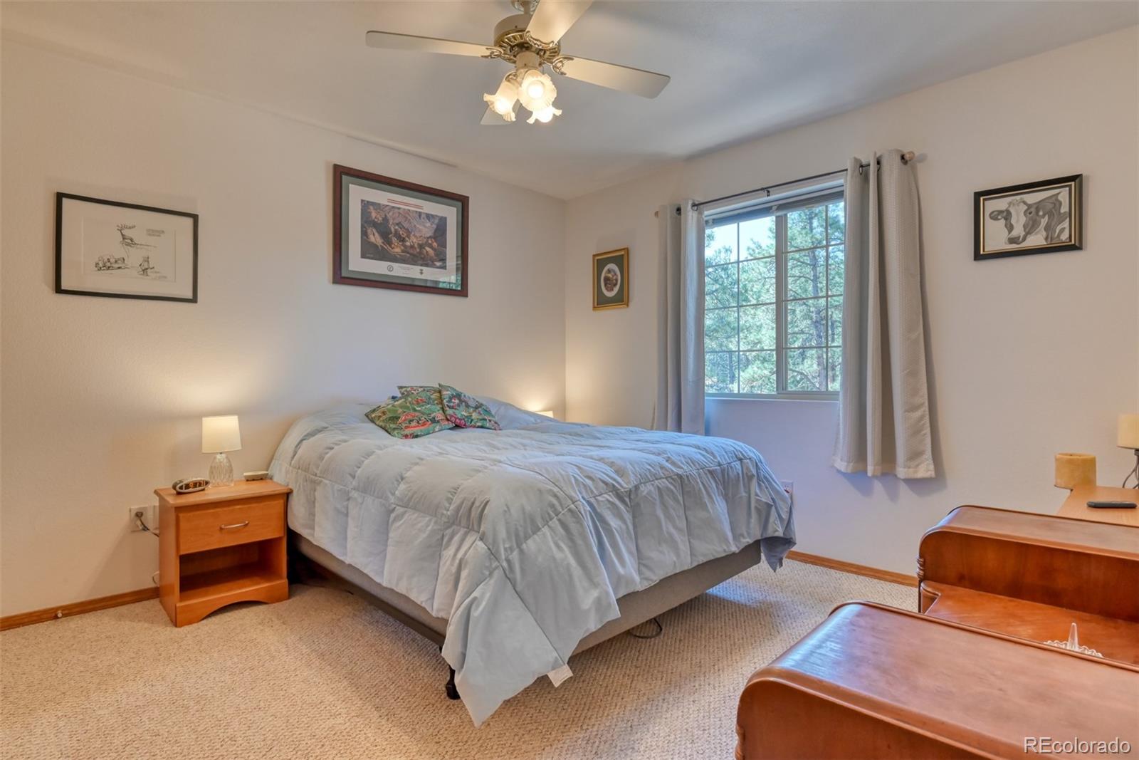 MLS Image #22 for 223  midnight lane,florissant, Colorado