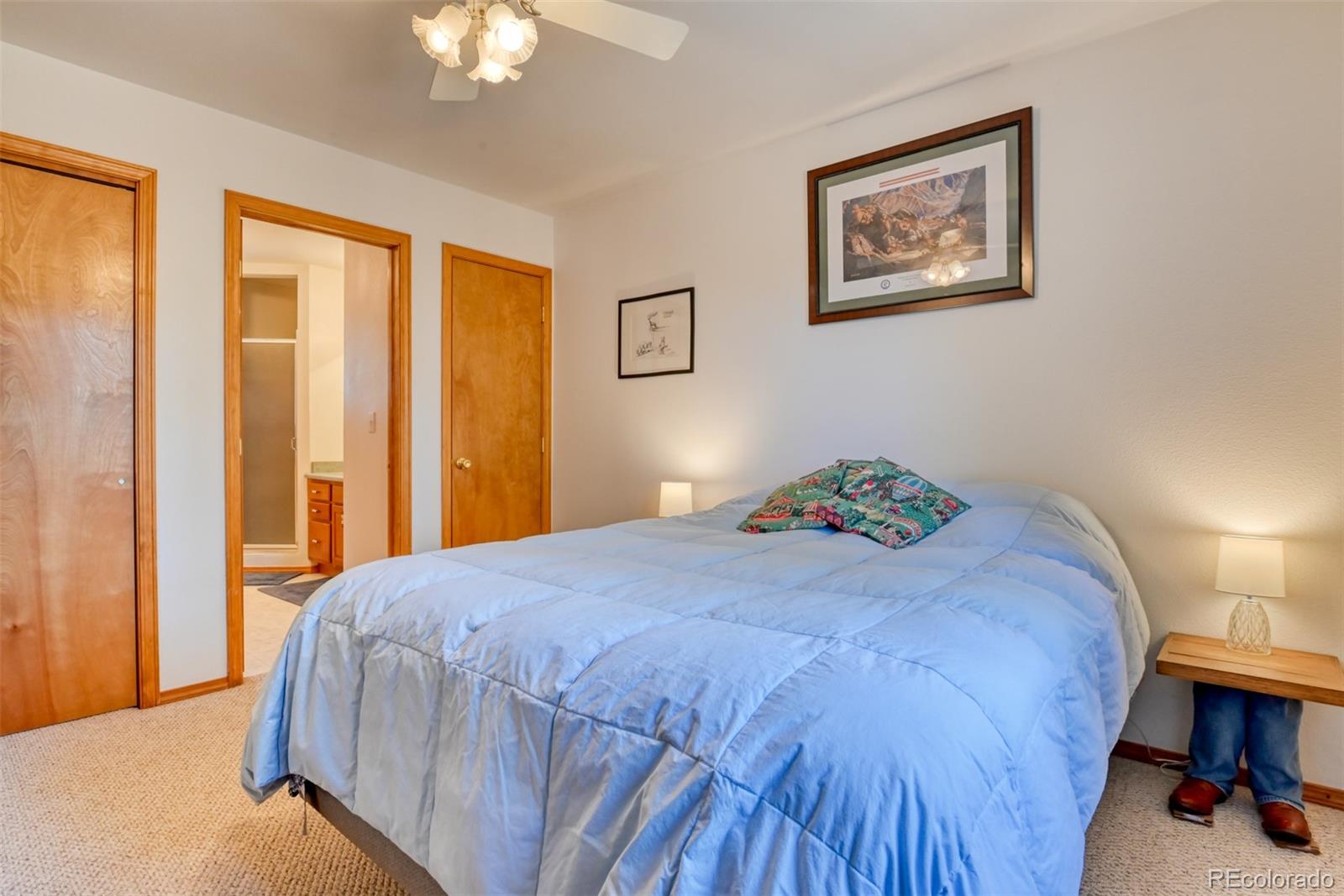 MLS Image #23 for 223  midnight lane,florissant, Colorado