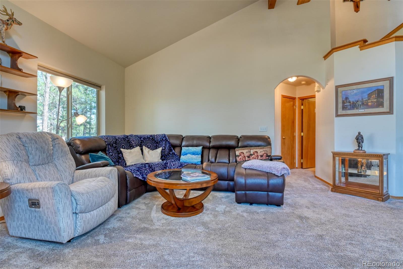 MLS Image #4 for 223  midnight lane,florissant, Colorado