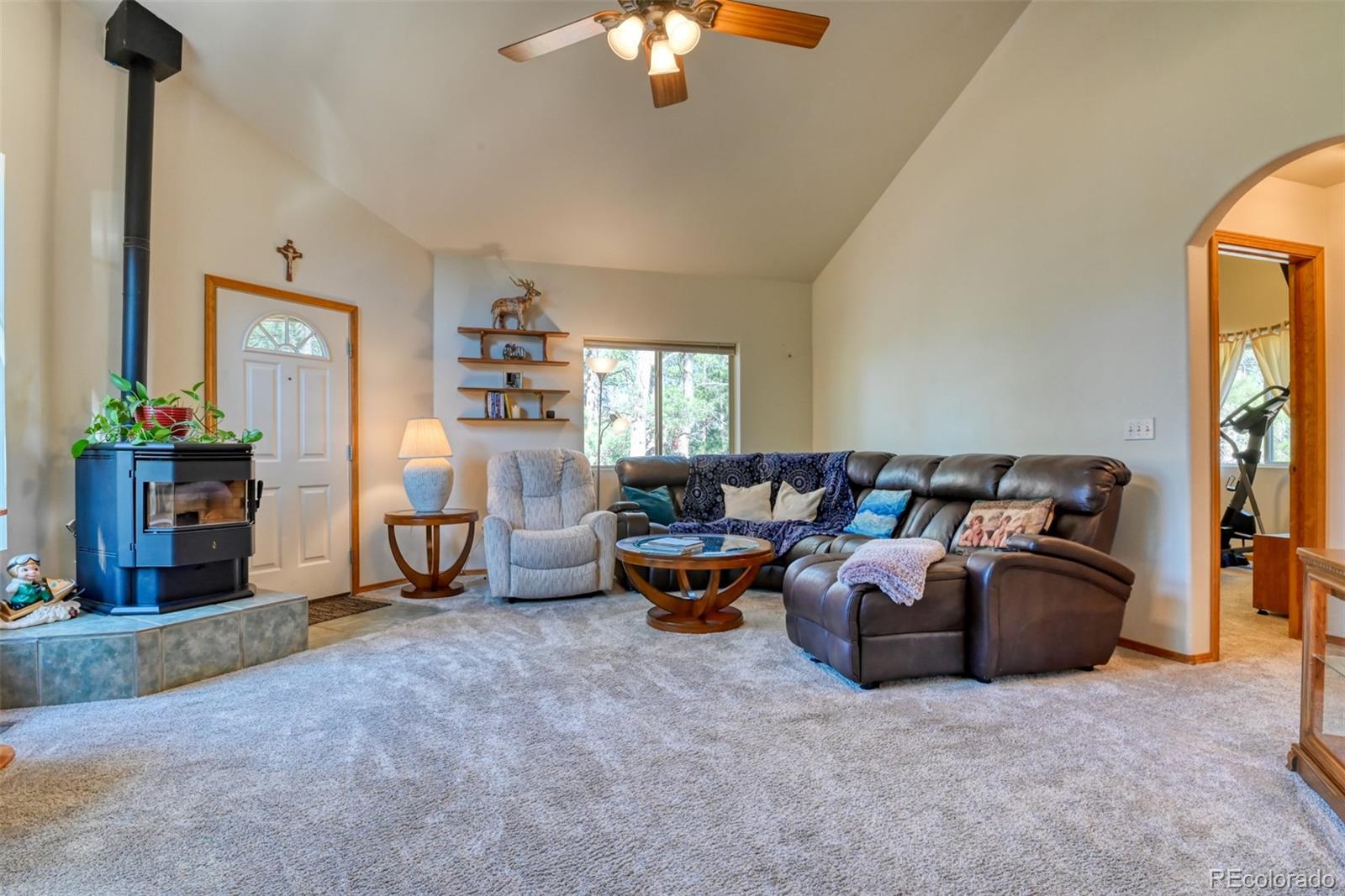 MLS Image #5 for 223  midnight lane,florissant, Colorado