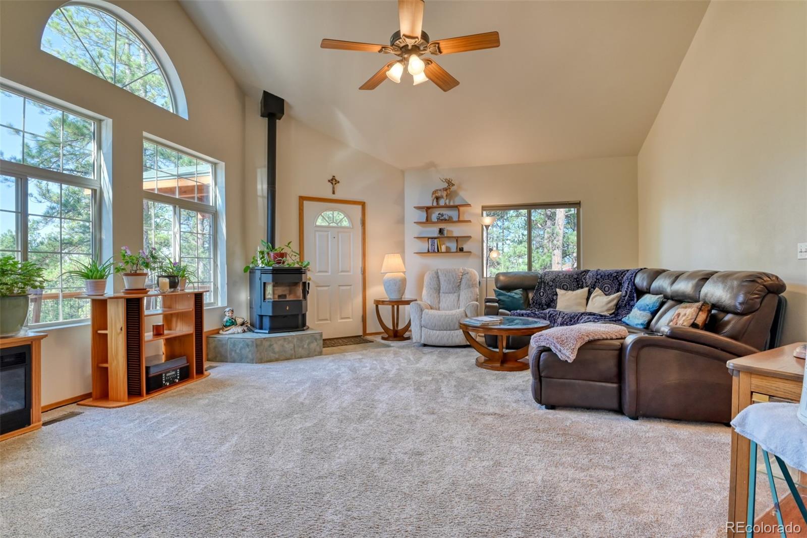 MLS Image #6 for 223  midnight lane,florissant, Colorado