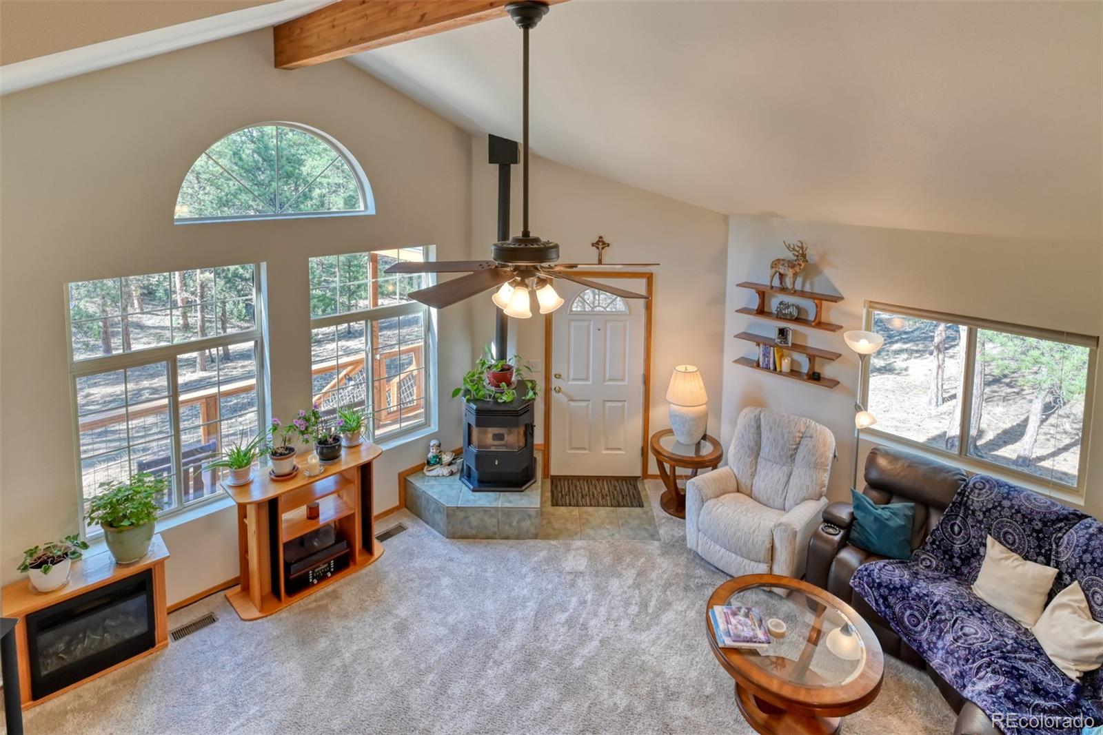 MLS Image #7 for 223  midnight lane,florissant, Colorado