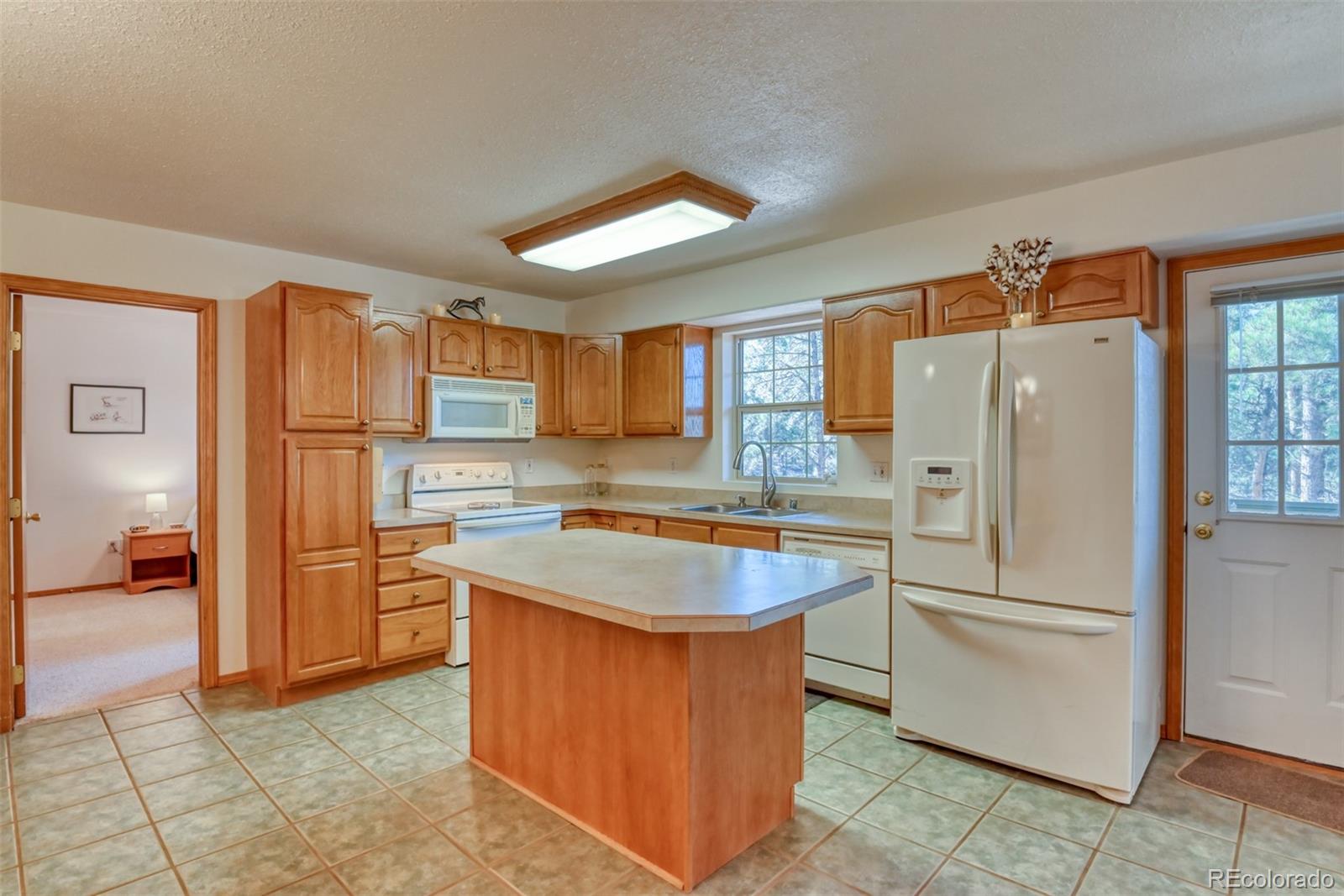 MLS Image #8 for 223  midnight lane,florissant, Colorado