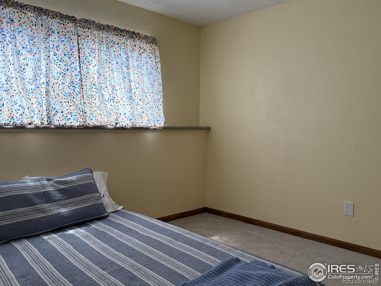 MLS Image #11 for 647  buchanan lane,longmont, Colorado