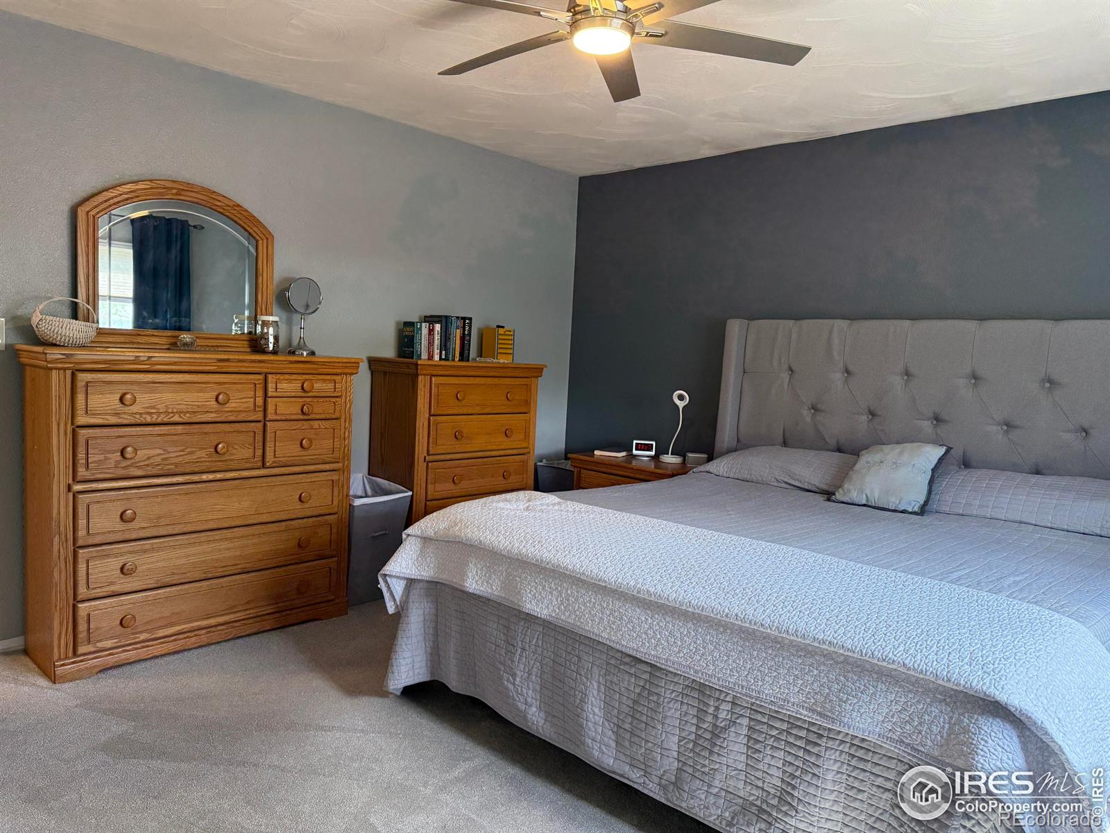 MLS Image #3 for 647  buchanan lane,longmont, Colorado