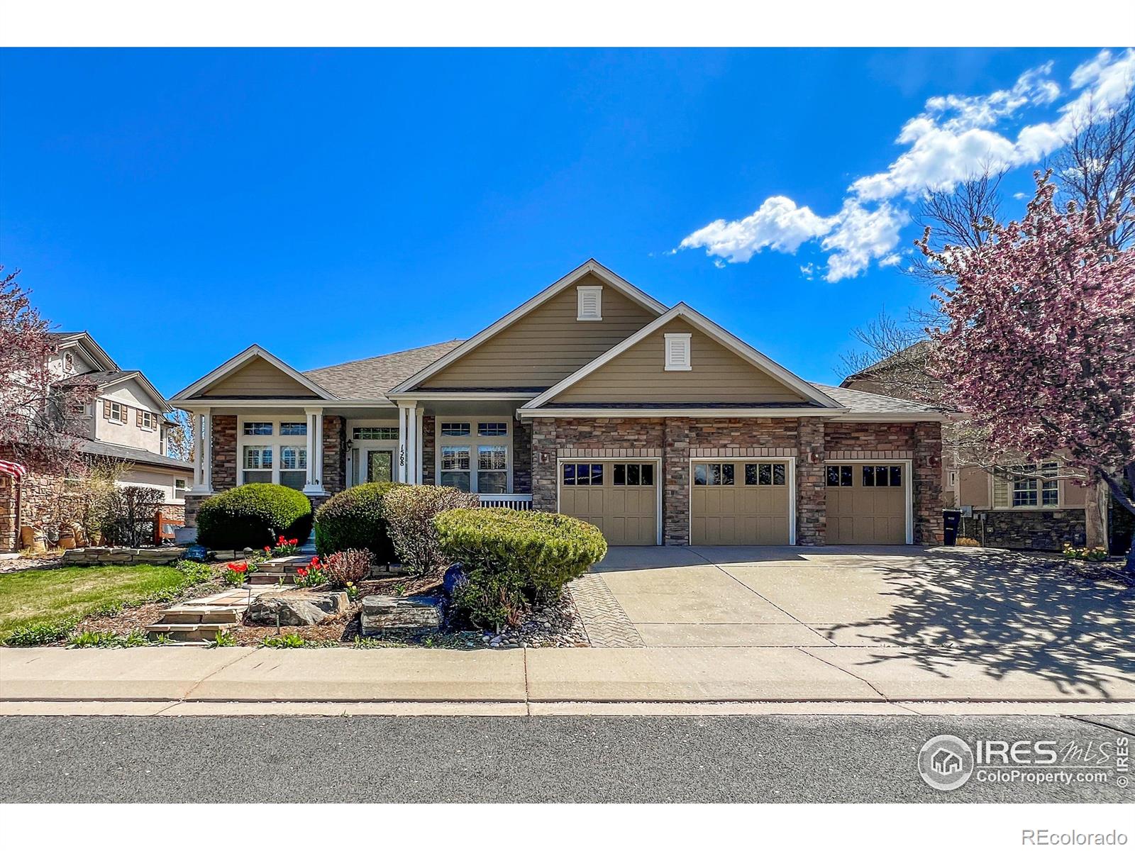 MLS Image #0 for 1568  stardance circle,longmont, Colorado