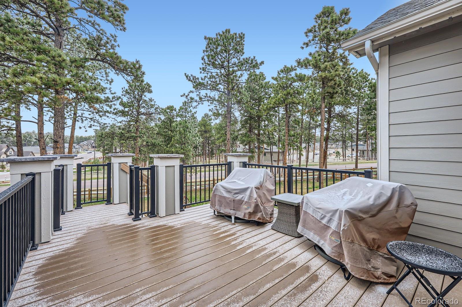 MLS Image #14 for 1798  summerglow lane,monument, Colorado