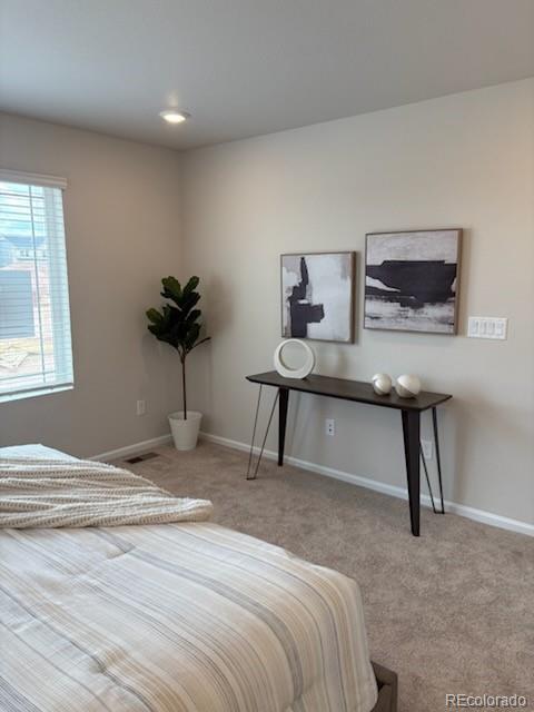MLS Image #30 for 7306  watercress drive,littleton, Colorado
