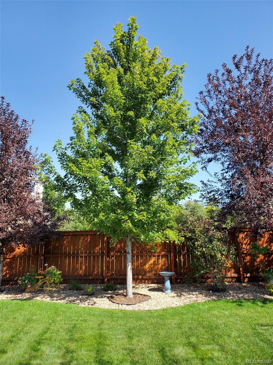 MLS Image #20 for 20040 e doane drive,aurora, Colorado