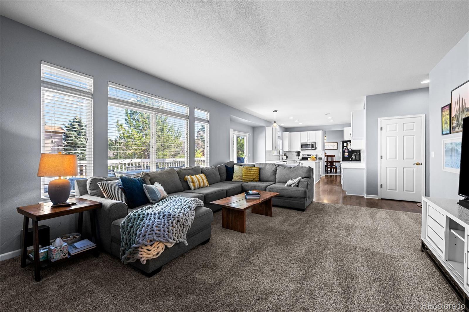 MLS Image #20 for 10103  knoll circle,highlands ranch, Colorado