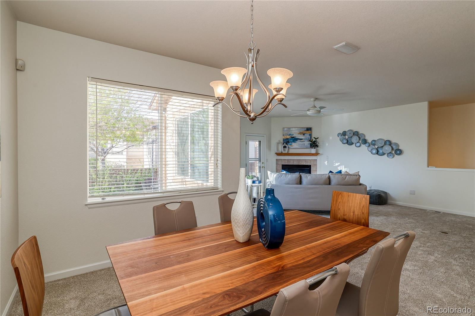 MLS Image #13 for 21209  woodside lane,parker, Colorado