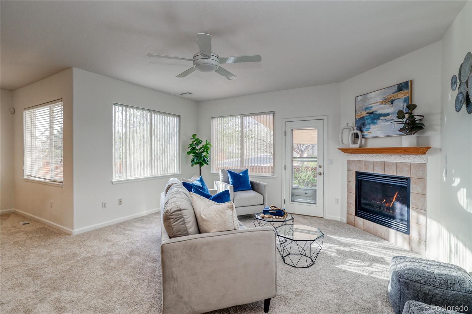 MLS Image #18 for 21209  woodside lane,parker, Colorado