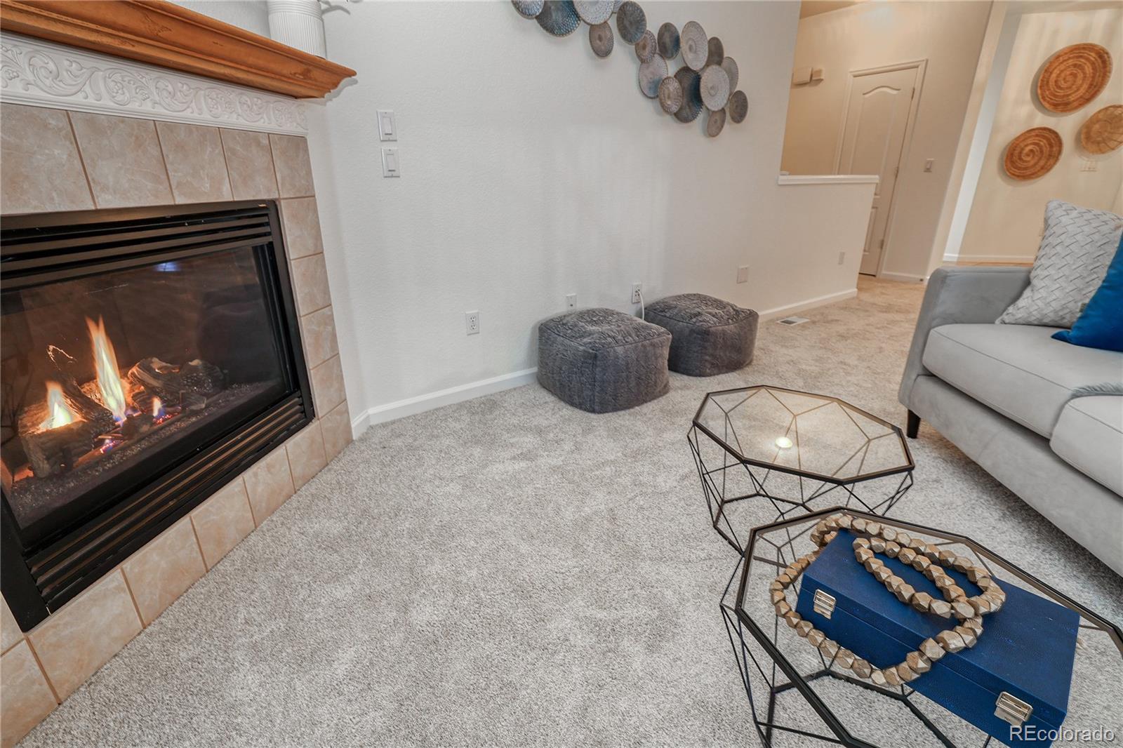 MLS Image #19 for 21209  woodside lane,parker, Colorado